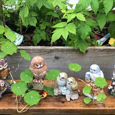 Bed and Breakfast Owly 'Ouse à Barnstaple Extérieur photo