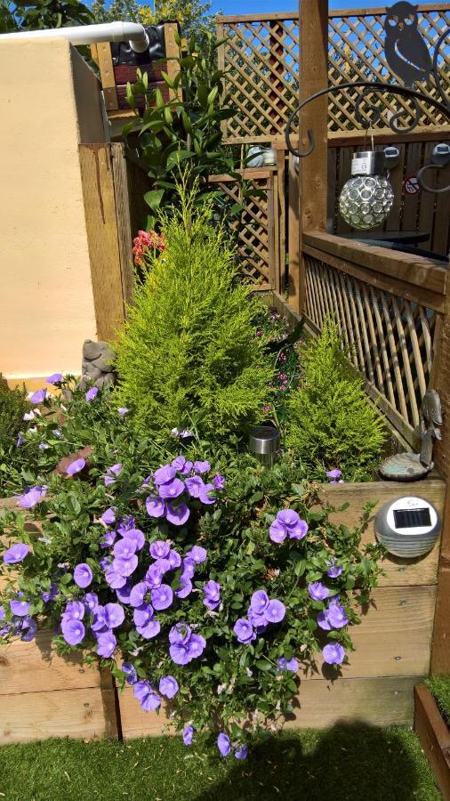 Bed and Breakfast Owly 'Ouse à Barnstaple Extérieur photo