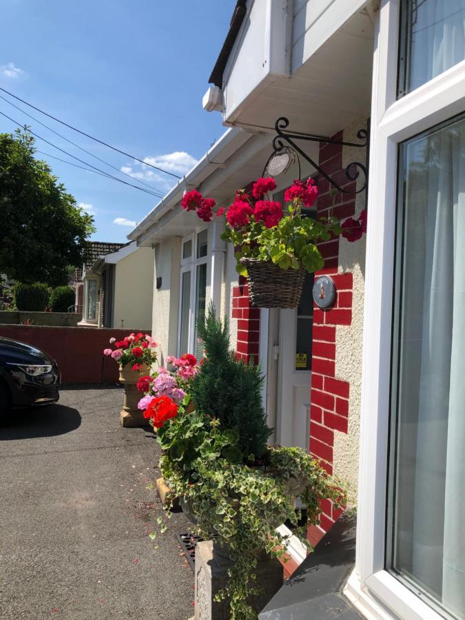 Bed and Breakfast Owly 'Ouse à Barnstaple Extérieur photo