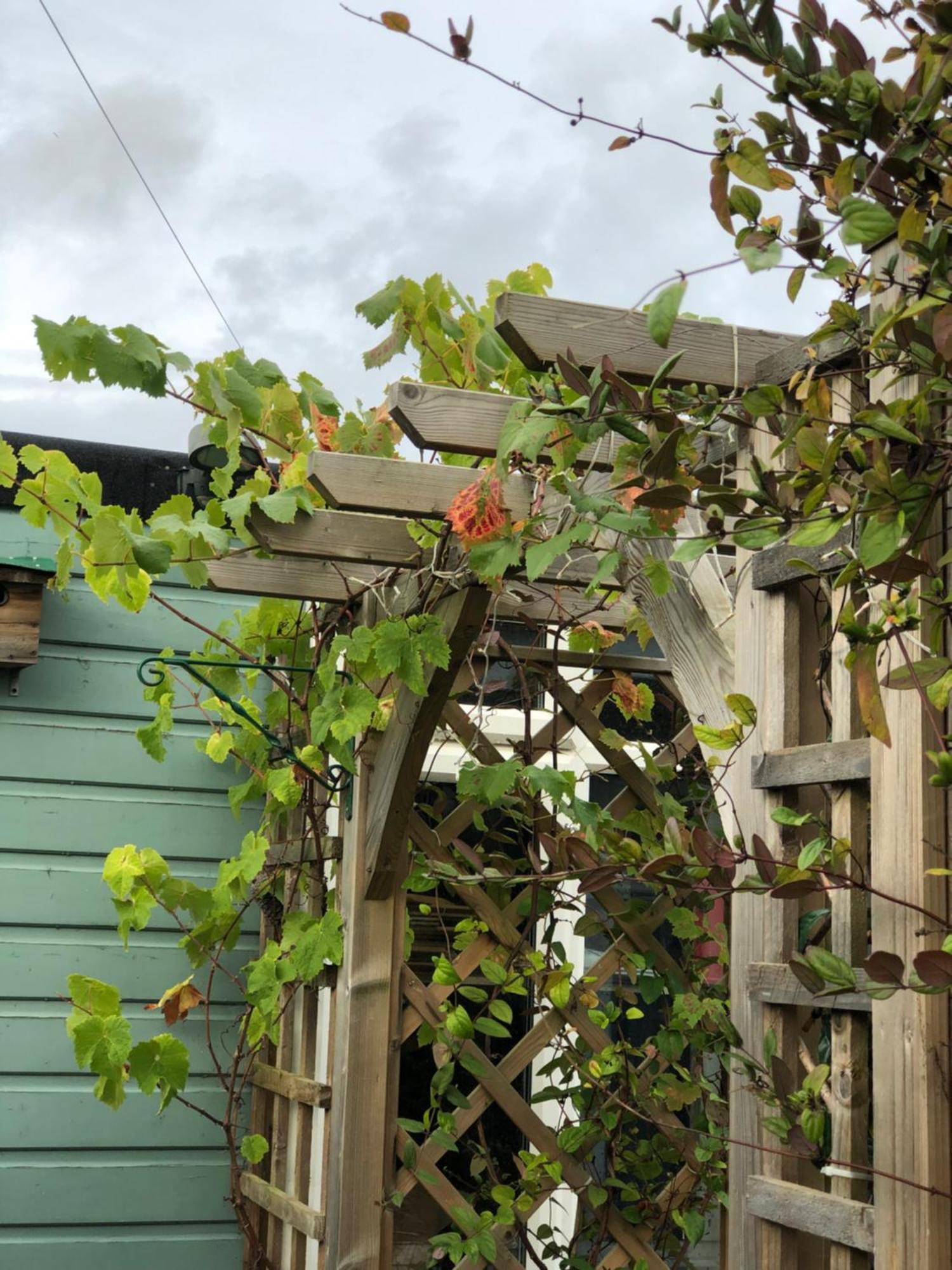 Bed and Breakfast Owly 'Ouse à Barnstaple Extérieur photo